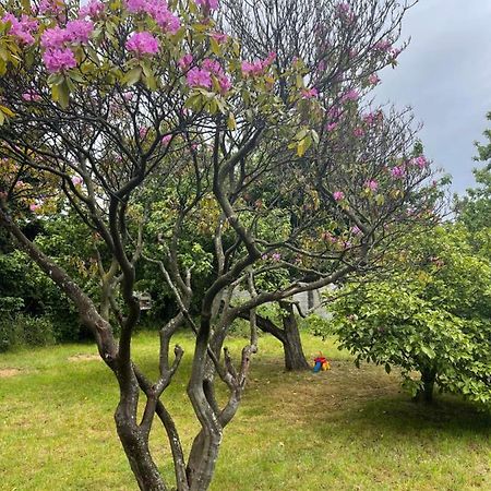 Hostal Das Hause Puerto Varas Eksteriør bilde