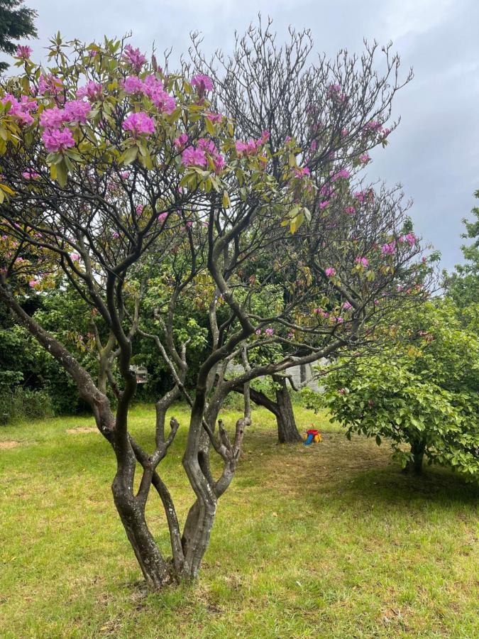 Hostal Das Hause Puerto Varas Eksteriør bilde
